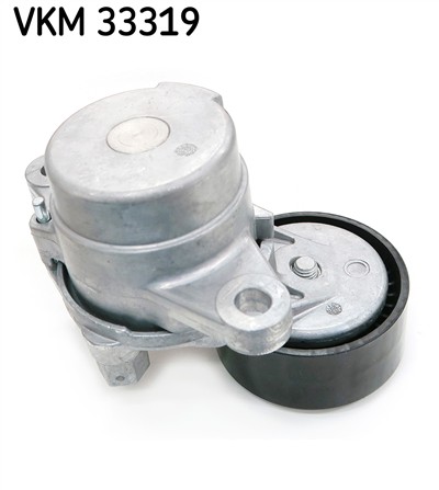 SKF VKM 33319