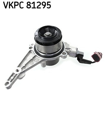 SKF VKPC 81295 EAN: 7316581504039.