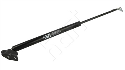 HART 806 571 EAN: 5907643063551.