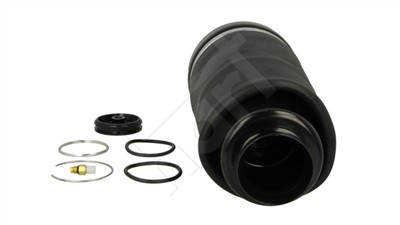 HART 813 683 EAN: 5903175175373.