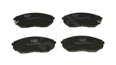 HART 221 666 EAN: 5907643008408.