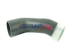 BOGAP A1711279