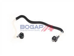 BOGAP C1646106