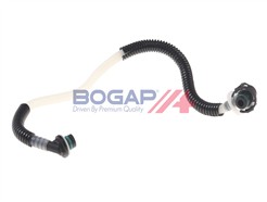 BOGAP C1646112