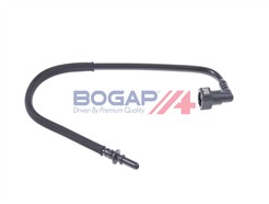 BOGAP C1646118