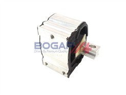 BOGAP C1911257