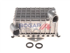 BOGAP C4222101