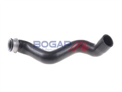 BOGAP C4228125