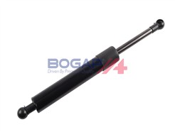 BOGAP C5260119