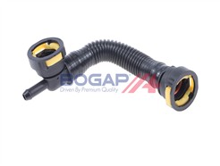 BOGAP P1210101