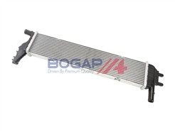BOGAP R4210219