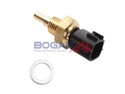 BOGAP T4126101
