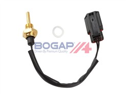 BOGAP V4126101