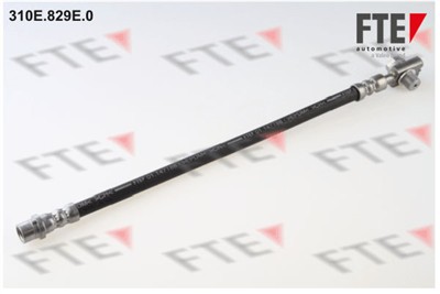 FTE 9240163 Číslo výrobce: 310E.829E.0. EAN: 3276429770351.