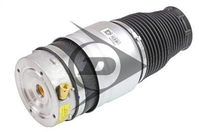 Dunlop Airsuspension 71064 Číslo výrobce: DAS10013.