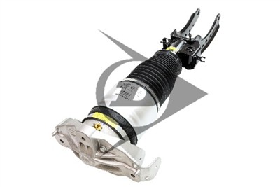 Dunlop Airsuspension 71067 Číslo výrobce: DAS10123.