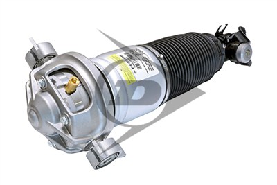 Dunlop Airsuspension 71070 Číslo výrobce: DAS10102.