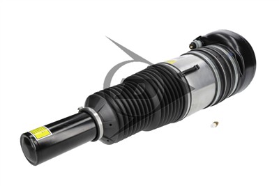 Dunlop Airsuspension 77305 Číslo výrobce: DAS10250.