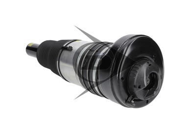 Dunlop Airsuspension 77305 Číslo výrobce: DAS10250.