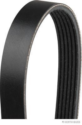 HERTH+BUSS JAKOPART J1061325 Číslo výrobce: 6PK1325. EAN: 4029416379803.