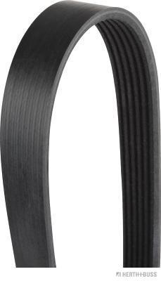 HERTH+BUSS JAKOPART J1061670 Číslo výrobce: 6PK1670. EAN: 4029416427573.