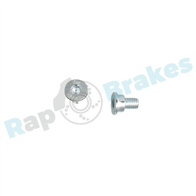 RAP BRAKES R-D0493 EAN: 5907714118722.