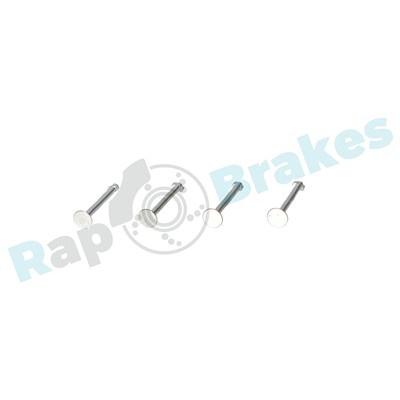 RAP BRAKES R-T0231 EAN: 5902701096328.