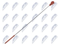 NTY BOL-PE-008