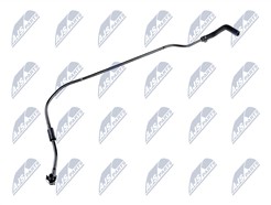 NTY CPP-PL-004