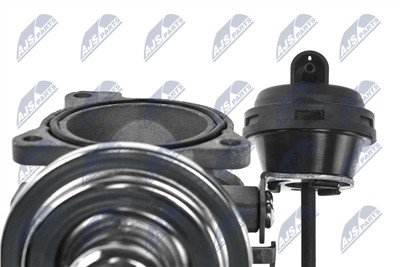 NTY EGR-AU-000 EAN: 5902048037152.