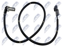 NTY HCA-MS-008