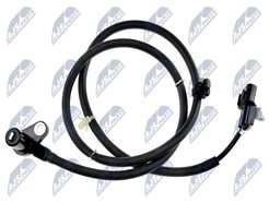 NTY HCA-MS-033