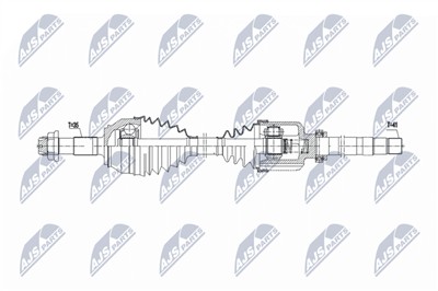 NTY NPW-CT-164
