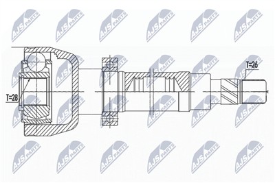 NTY NPW-FR-081 EAN: 5902048178411.