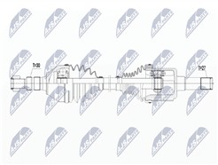 NTY NPW-PL-065