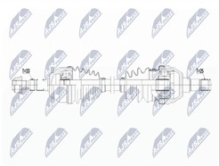 NTY NPW-PL-069