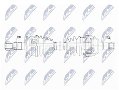 NTY NPW-PL-075