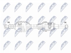 NTY NPW-PL-153