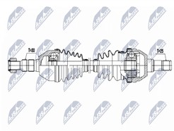 NTY NPW-PL-170