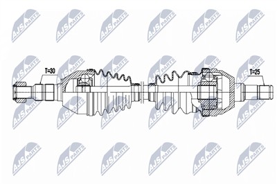NTY NPW-PL-170