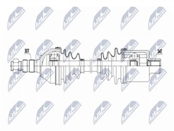 NTY NPW-PL-172