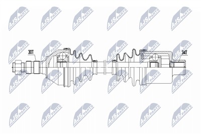 NTY NPW-PL-172