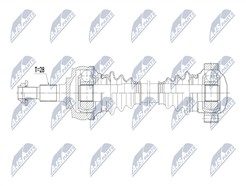NTY NPW-PS-016
