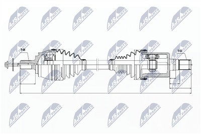 NTY NPW-VV-031 EAN: 5902048882561.