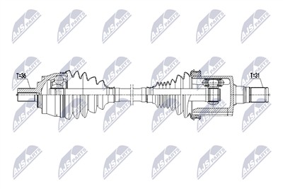 NTY NPW-VV-158 EAN: 5902048373328.