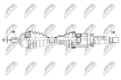 NTY NPW-VV-163 EAN: 5902048373373.