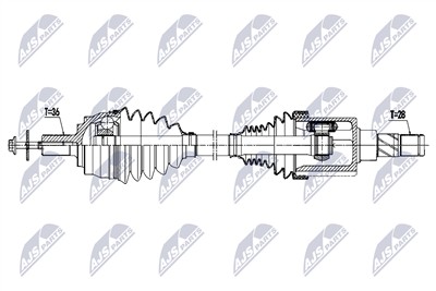 NTY NPW-VV-170 EAN: 5902048373441.