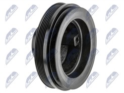 NTY RKP-MS-013