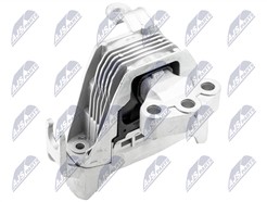 NTY ZPS-PL-060