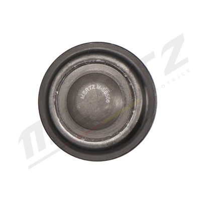 Mertz M-S0506 EAN: 5902701004972.